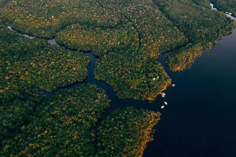 Amazonia