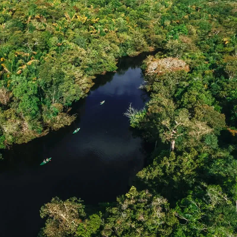 Amazônia